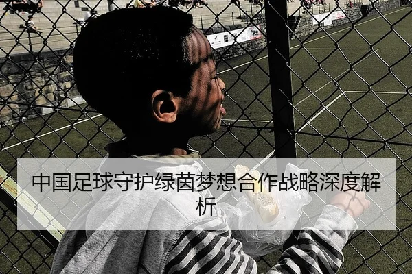 中国足球守护绿茵梦想合作战略深度解析